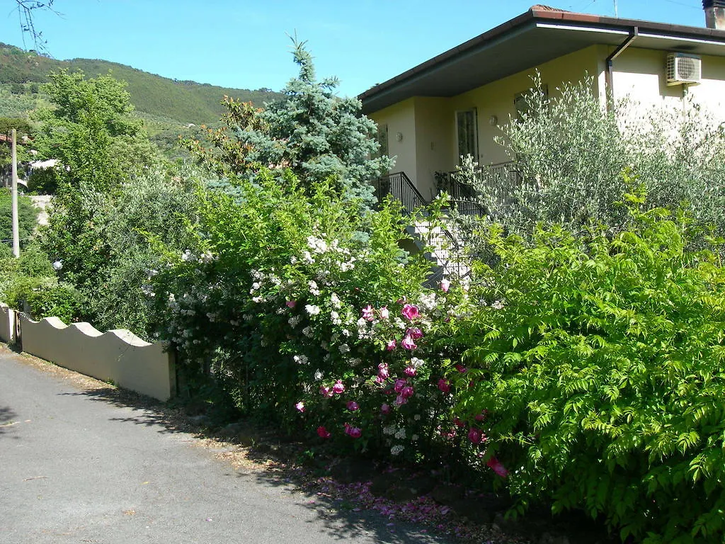 Gli Olivi Villa Calci Italia