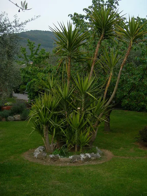 Alloggio per agriturismo Gli Olivi Villa Calci Italia